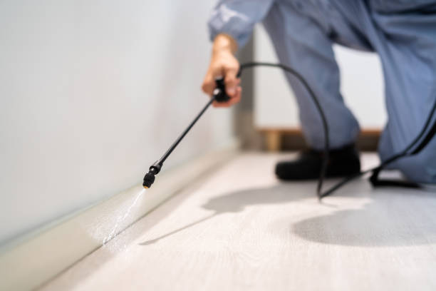 Bed Bug Pre-Treatment Preparation Assessment in DuBois
