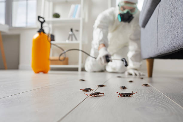 Post-Treatment Bed Bug Interceptor Monitoring in DuBois
