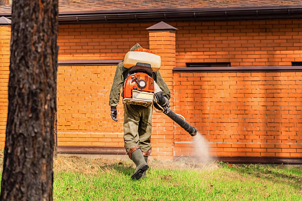 Bed Bug Clearance Verification and Documentation in DuBois
